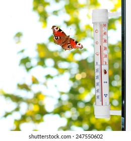 spring  thermometer