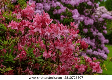 spring tim enear trouro in cornwall