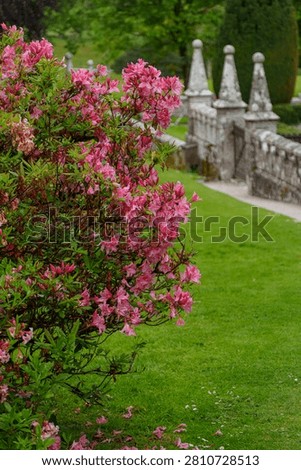 spring tim enear trouro in cornwall
