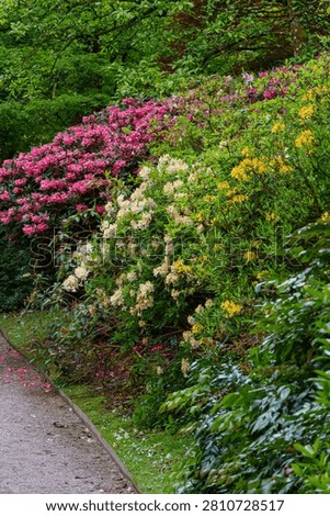 spring tim enear trouro in cornwall