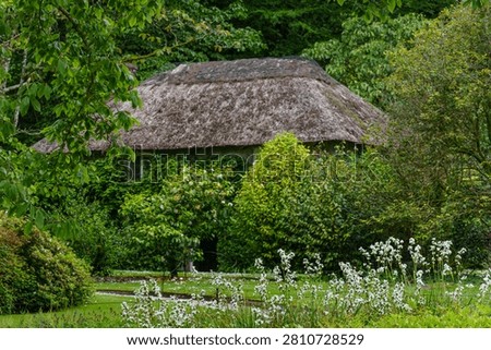 spring tim enear trouro in cornwall
