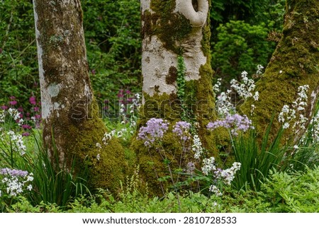 spring tim enear trouro in cornwall