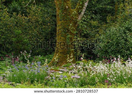 spring tim enear trouro in cornwall