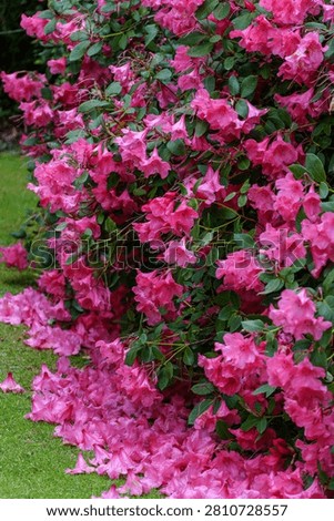 spring tim enear trouro in cornwall
