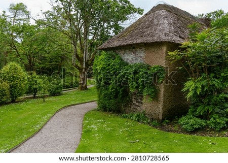 spring tim enear trouro in cornwall