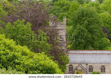 spring tim enear trouro in cornwall