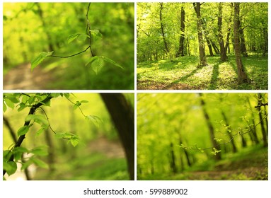 Spring Time