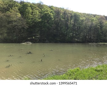 Spring Time In The Allegheny Reservoir 