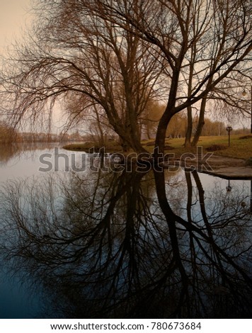 Similar – Foto Bild ::ELBSTRAND:: Baum Holz