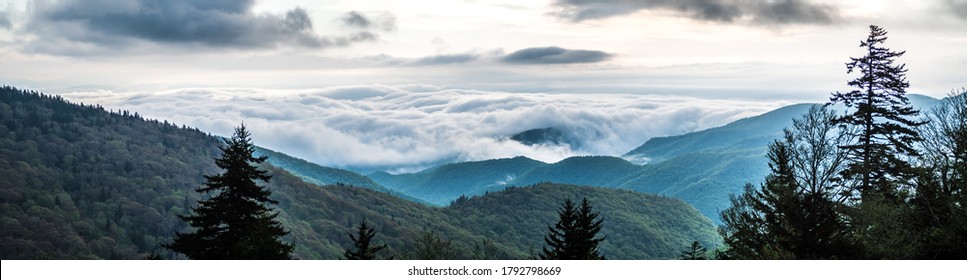 Spring Time On Blue Ridge Parkway Mountains