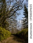 A spring time path in the park