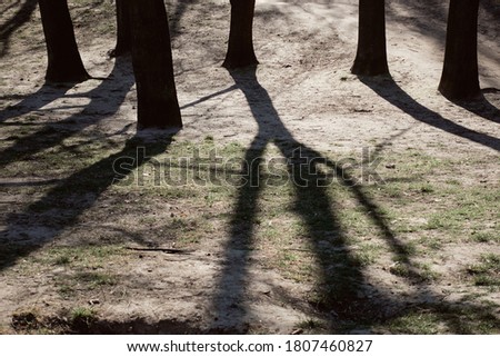 Spring time in public park with tree shadows. Heaviness, depression, doldrums or dejectedness concept.