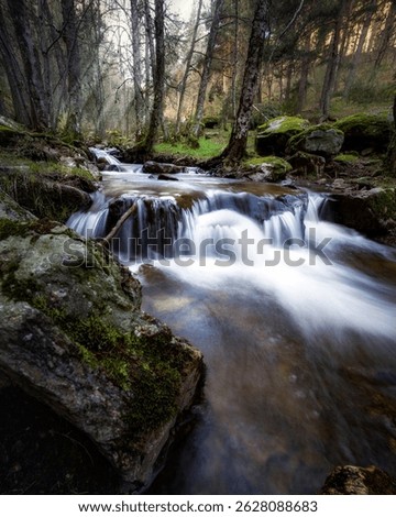 Spring time at the Sestil Stream. Sierra de la Morcuera. Canencia. Madrid. Spain.