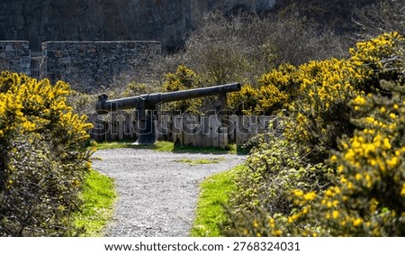 spring time walking around Holyhead Breakwater park