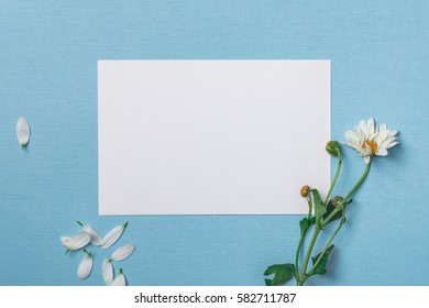 518,251 Blue paper flower Images, Stock Photos & Vectors | Shutterstock