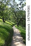 Spring trail