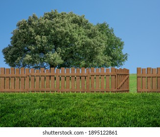 Spring Tree In Backyard And Wooden Garden Fence