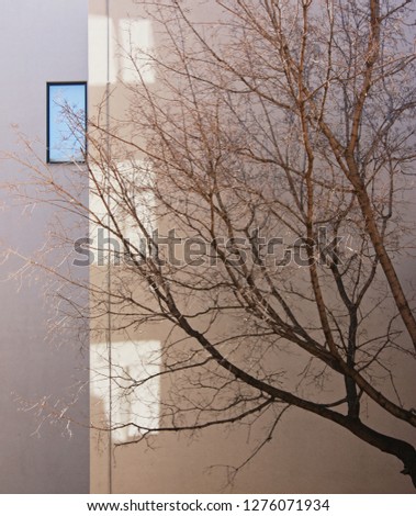 Similar – Image, Stock Photo street art