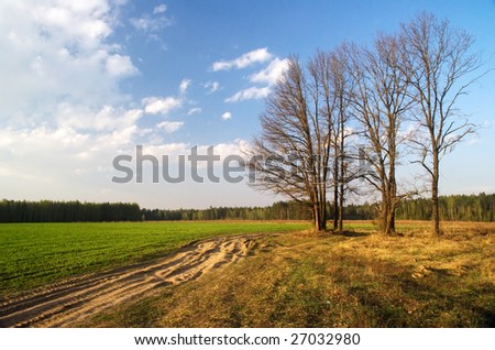 Spring trees in the field.  It is photographed in Russia. 60 kilometers from Moscow