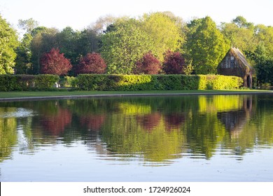 Spring trees reflected in a lake in Rowntree Park, York, England.