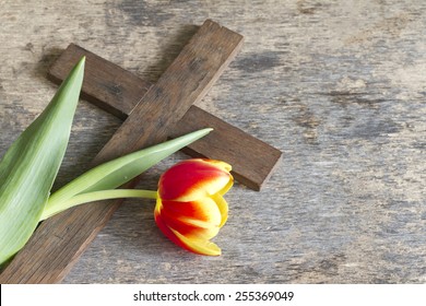 Spring tulip and cross abstract easter concept