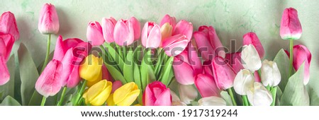 Spring tulip flowers background. White, yellow, pink, red tulip bouquet on light green spring grass background with bokeh effect, banner mock up format