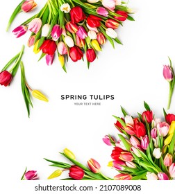 Spring tulips. Composition and creative layout made of colorful tulip flowers isolated on white background. Top view, flat lay. Design element