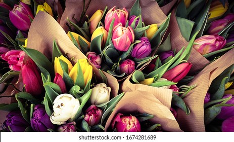 Spring Tulips Floral Tulip Bunch