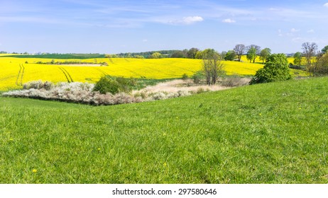 Spring In The Uckermark