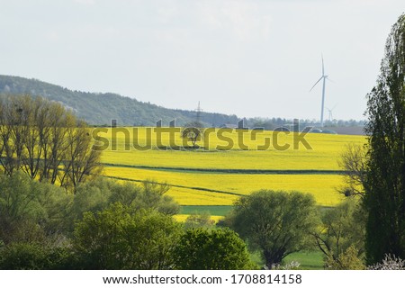 spring valley in the Eifel