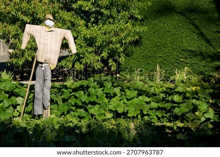 Spring vegetable garden with rustic scarecrow standing among vibrant growing plants under warm bright sunlight.