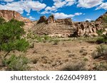 Spring View in the Buckhorn Draw near the Buckhorn Panel, San Rafael Swell in Central Utah.