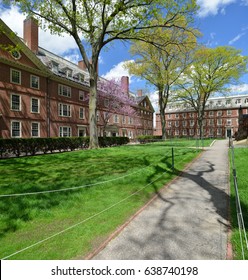 Spring view of freshmen dorms in Harvard University Old Yard
