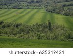 spring view in green