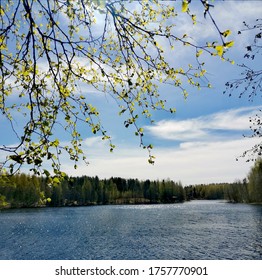 Spring View To The Lake 