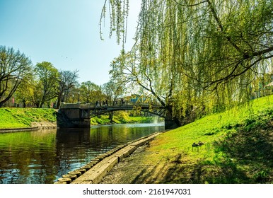 spring view on a river chanel in a green city park in may with young blooming salad shiny leafs on tree braches and reflection on water