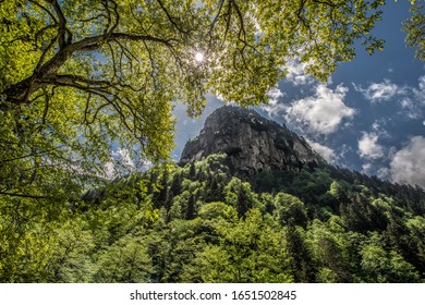 Spring View Of Trabzon Sümela Monastery

