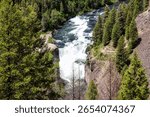 Spring View from the Trail above the Lower Mesa Falls on the Henrys Fork of the Snake River in Eastern Idaho.