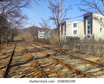 Spring Views Around The Railroad Tracks While Riding A Rail Bike: Gapyeong County Rail Park Gyeonggi-do Korea. March 31 2021. 