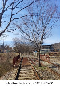 Spring Views Around The Railroad Tracks While Riding A Rail Bike: Gapyeong County Rail Park Gyeonggi-do Korea. March 31 2021. 