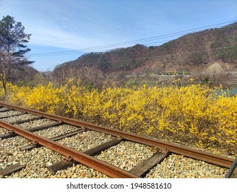 Spring Views Around The Railroad Tracks While Riding A Rail Bike: Gapyeong County Rail Park Gyeonggi-do Korea. March 31 2021. 