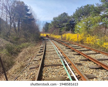 Spring Views Around The Railroad Tracks While Riding A Rail Bike: Gapyeong County Rail Park Gyeonggi-do Korea. March 31 2021. 