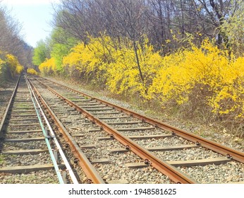 Spring Views Around The Railroad Tracks While Riding A Rail Bike: Gapyeong County Rail Park Gyeonggi-do Korea. March 31 2021. 