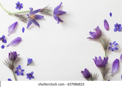 Spring violet flowers on a white background - Shutterstock ID 637086823