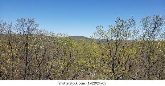 Spring Vista In The Mountains Of New York's Harriman State Park In The Hudson Valley On A Sunny Day.