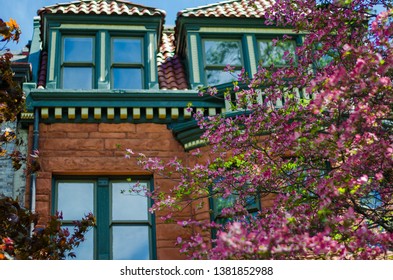 Spring In Washington DC. Old Houses And Trees In Bloom. Dupont Circle . USA 