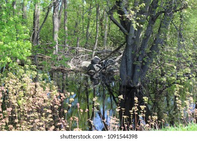 Spring water reflection