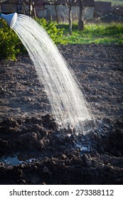 Spring Watering Of Seeds In Garden