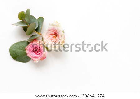 Spring white background with roses. Top view