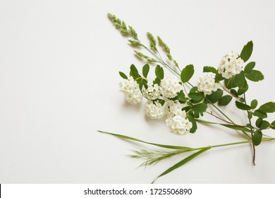 Spring White Flower Blossom And Green Wild Grass Bush On White Isolated Background. Blooming White Background. Copy Space. Top View. Wallpaper